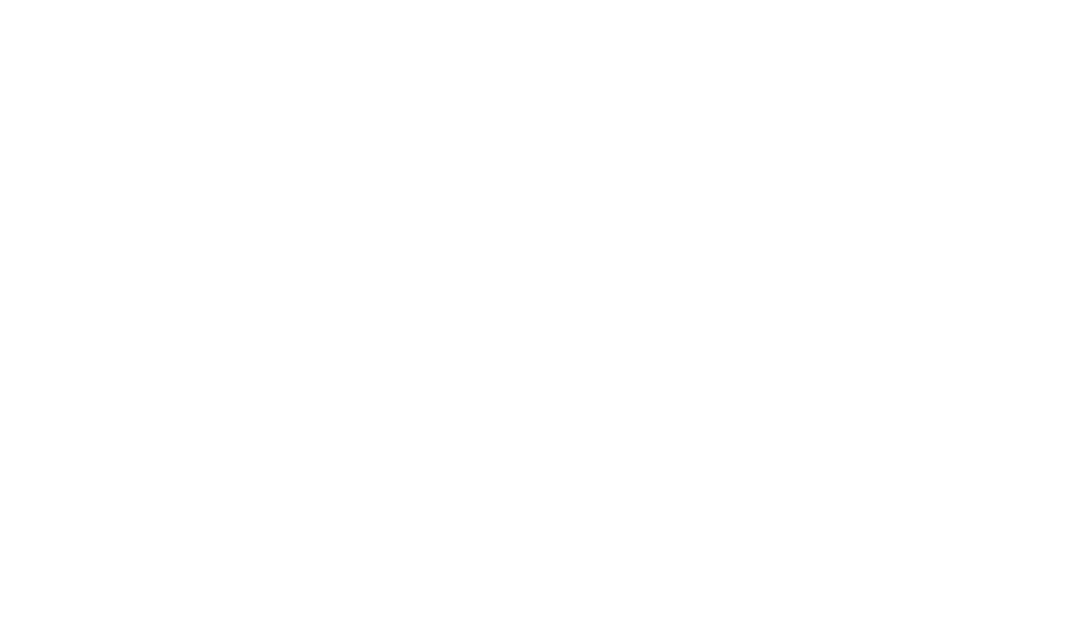 feature-item-4