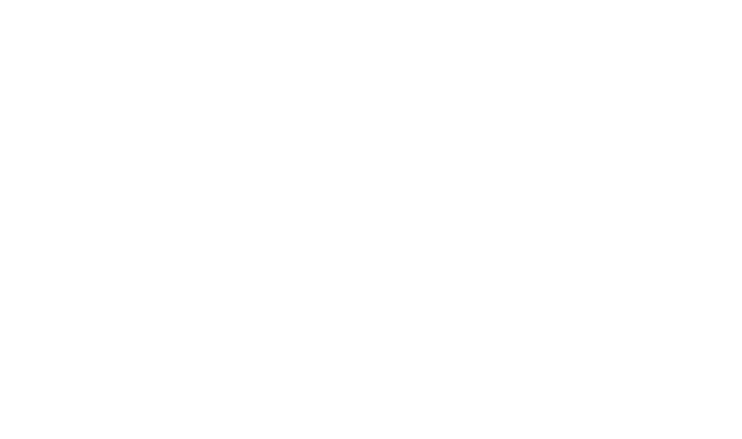 feature-item-2